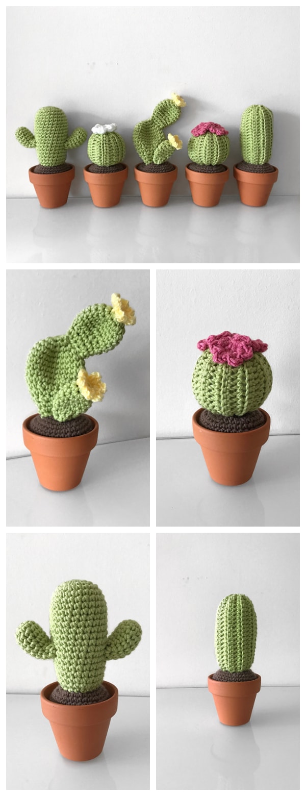 How to make your own Crochet Cactus Patterns ? We have 4 Amazing Cactus Patterns for free. Cute, small cacti are very trendy at this moment.